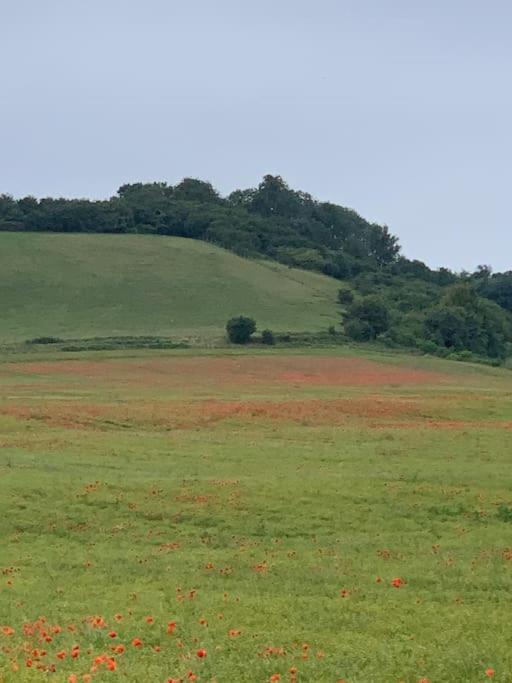 Romantic Shepherds Hut With Stunning Sunsets Hollingbourne エクステリア 写真